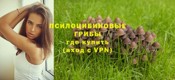 2c-b Долгопрудный