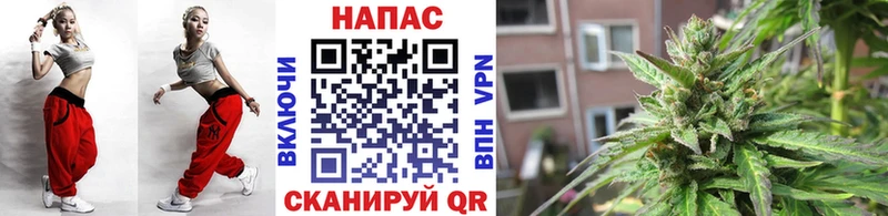 блэк спрут Агрыз МАРИХУАНА индика